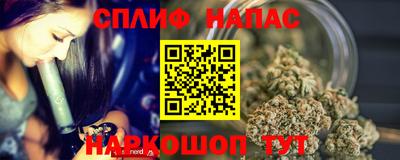 крисы Аша