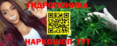 крисы Аша