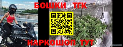 крисы Аша