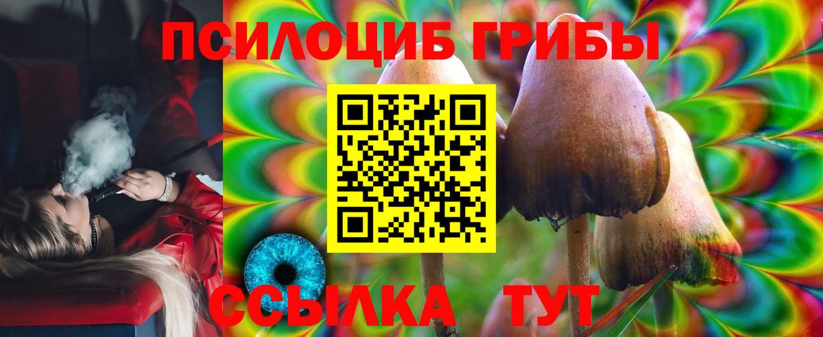 Псилоцибиновые грибы Psilocybine cubensis Богородицк